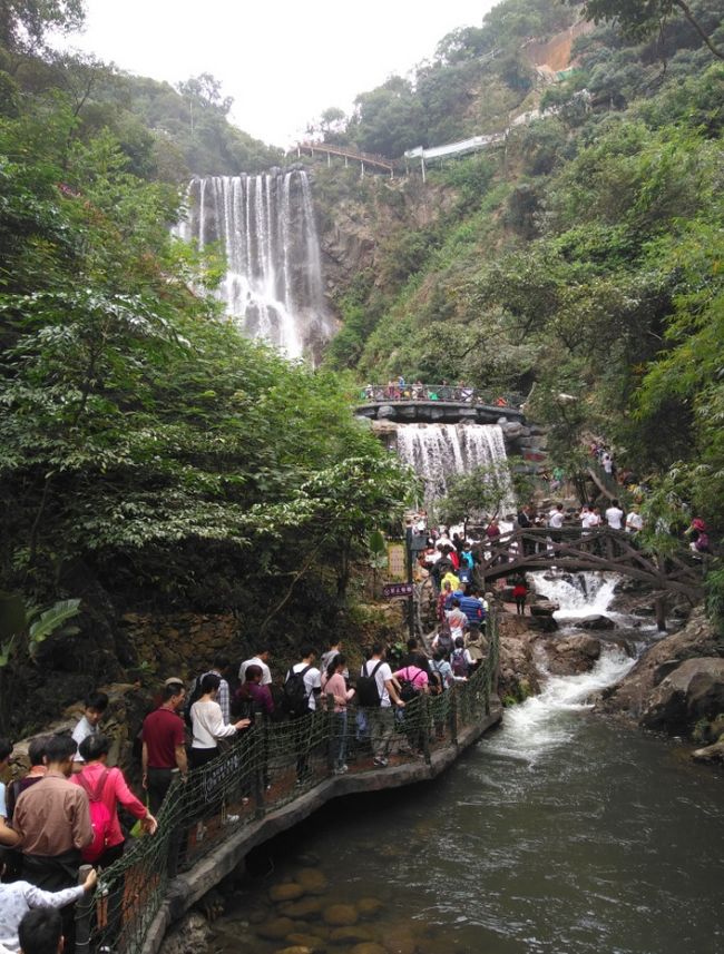 国产在线一区二区免费视频