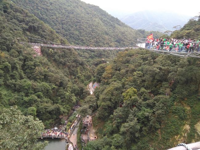 国产在线一区二区免费视频