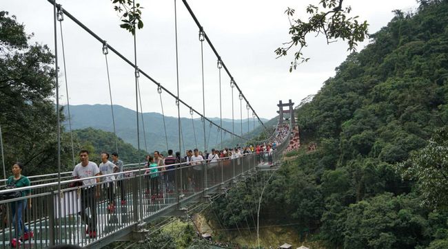 国产在线一区二区免费视频