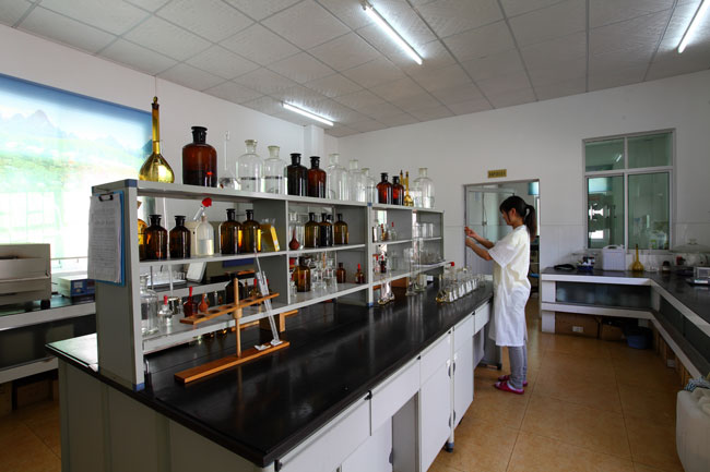 国产在线一区二区免费视频