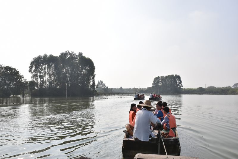 国产在线一区二区免费视频