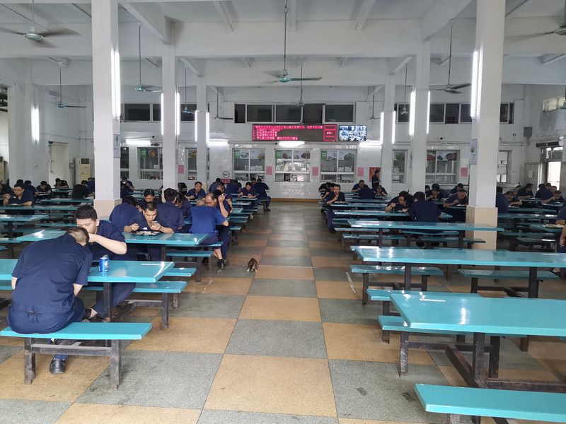 国产在线一区二区免费视频